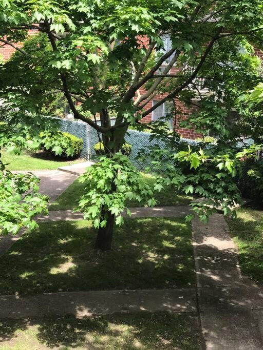 Brooklyn Luxury Spring Retreat With Private Outdoor Space New York Exteriör bild