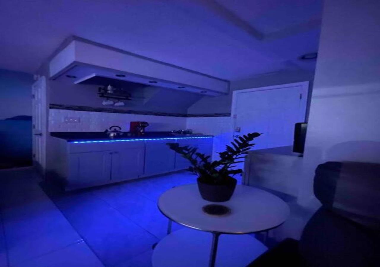 Brooklyn Luxury Spring Retreat With Private Outdoor Space New York Exteriör bild